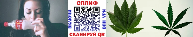 Канабис ГИДРОПОН Уссурийск